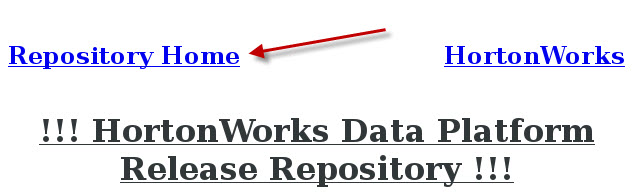 repoweb01.jpg