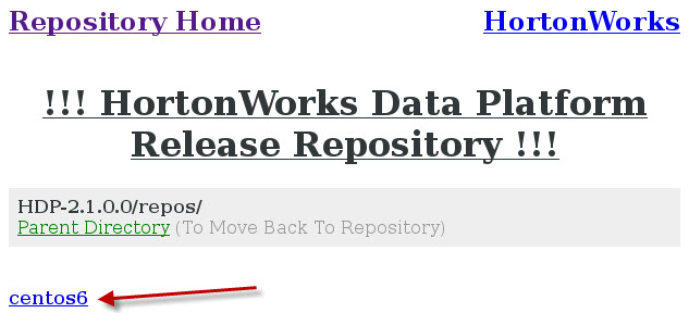 repoweb04.jpg