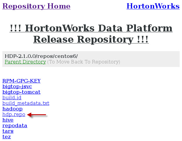 repoweb05.jpg